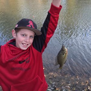 Meet your Posher, Patrick